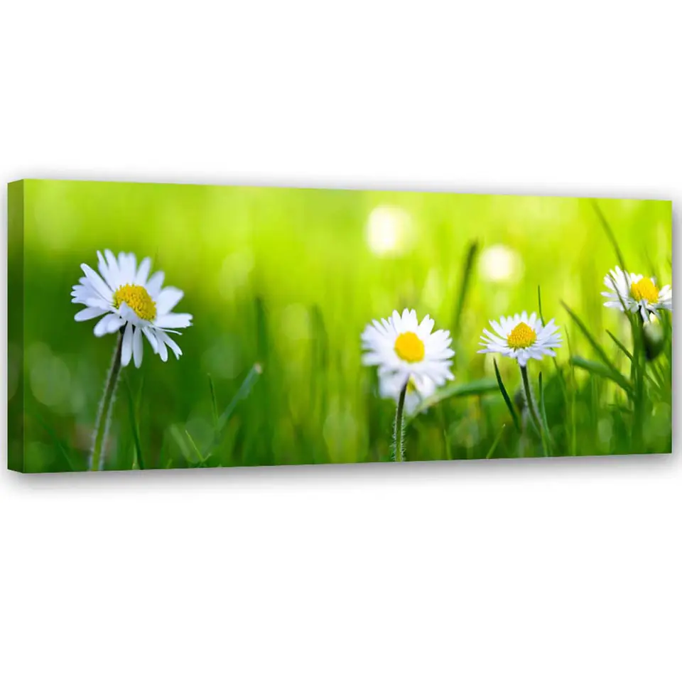 ⁨Painting on canvas, Daisies in the grass (Size 90x30)⁩ at Wasserman.eu