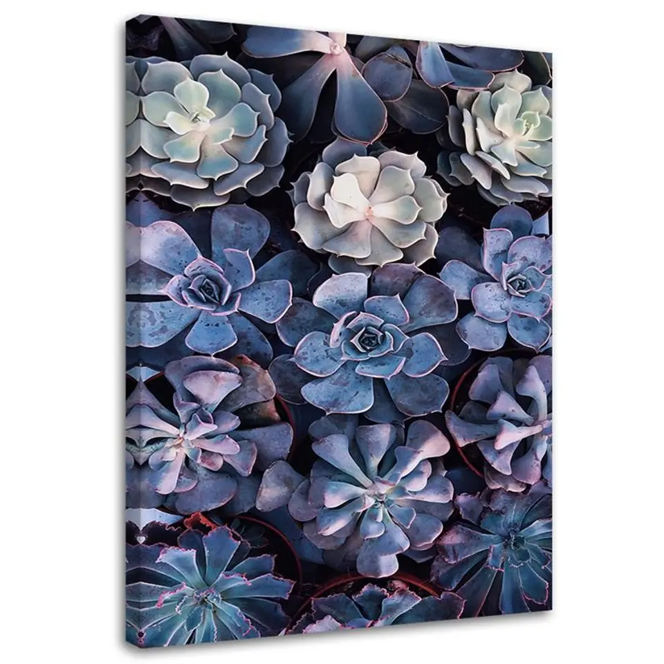 ⁨Obraz na płótnie, Shabby Chic kwiaty natura (Rozmiar 40x60)⁩ w sklepie Wasserman.eu
