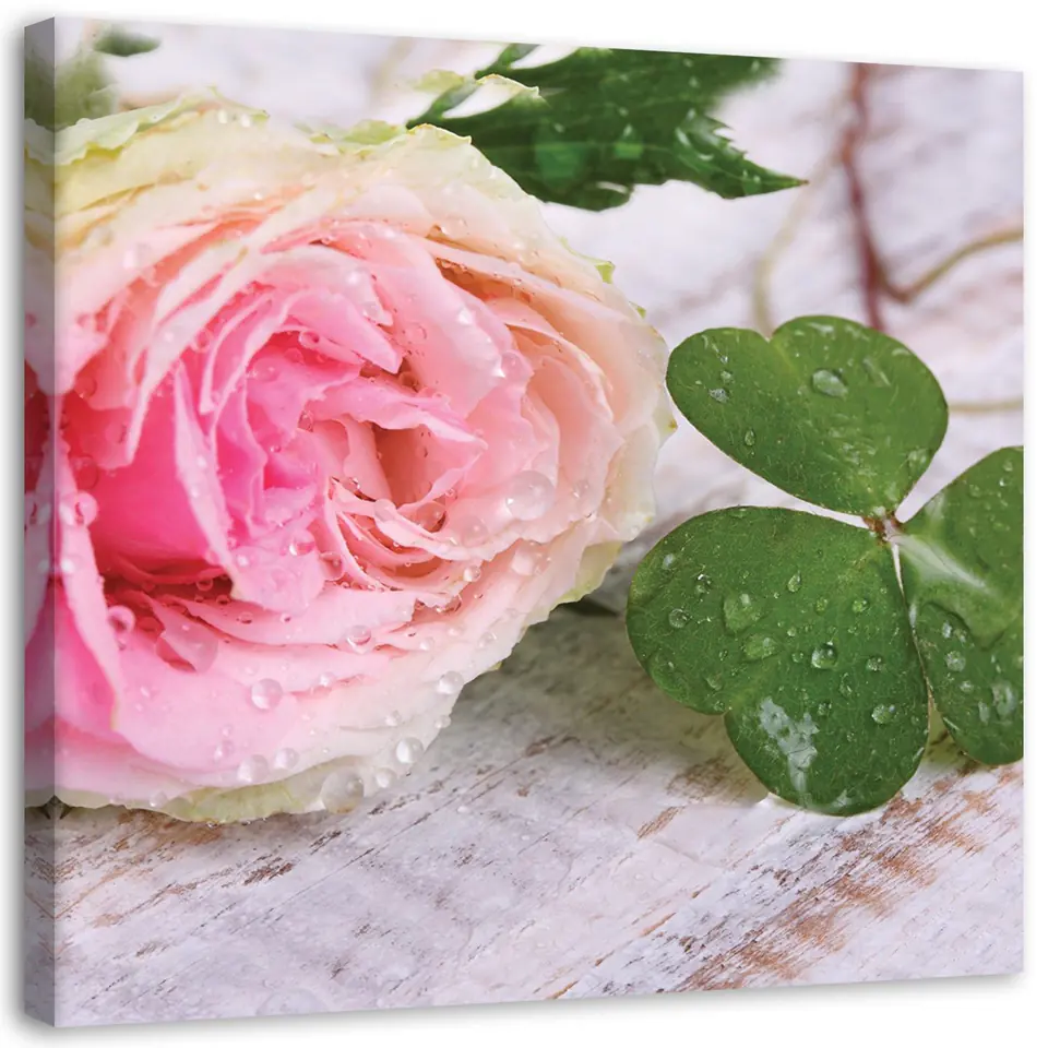 ⁨Painting on canvas, Rose and clover (Size 60x60)⁩ at Wasserman.eu