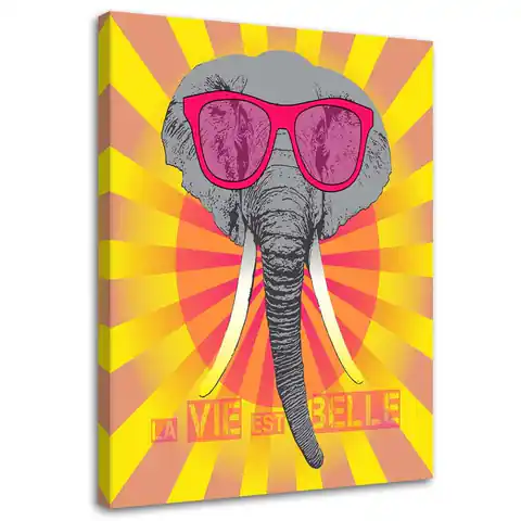 ⁨Obraz na płótnie, Słoń w okularach (Rozmiar 40x60)⁩ w sklepie Wasserman.eu