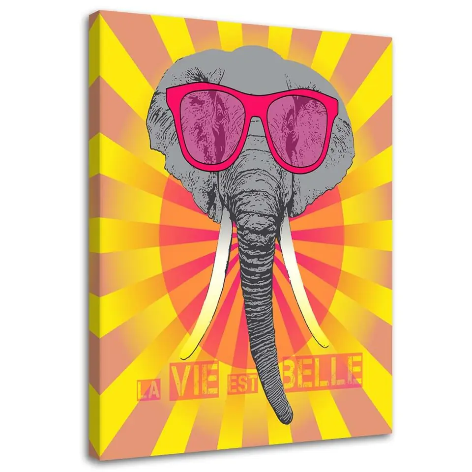 ⁨Painting on canvas, Elephant in glasses (Size 40x60)⁩ at Wasserman.eu