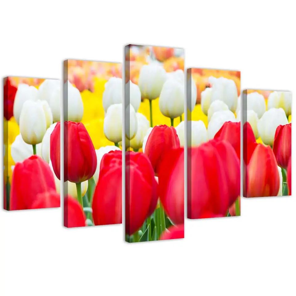 ⁨Five-part painting on canvas, White and red tulips (Size 100x70)⁩ at Wasserman.eu