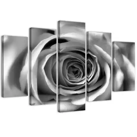 ⁨Obraz pięcioczęściowy na płótnie, Kwiat róży (Rozmiar 100x70)⁩ w sklepie Wasserman.eu