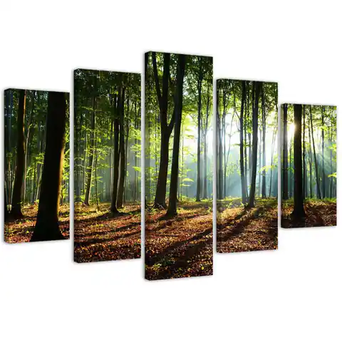 ⁨Five-part painting on canvas, Rays of the Sun in the Forest (Size 100x70)⁩ at Wasserman.eu
