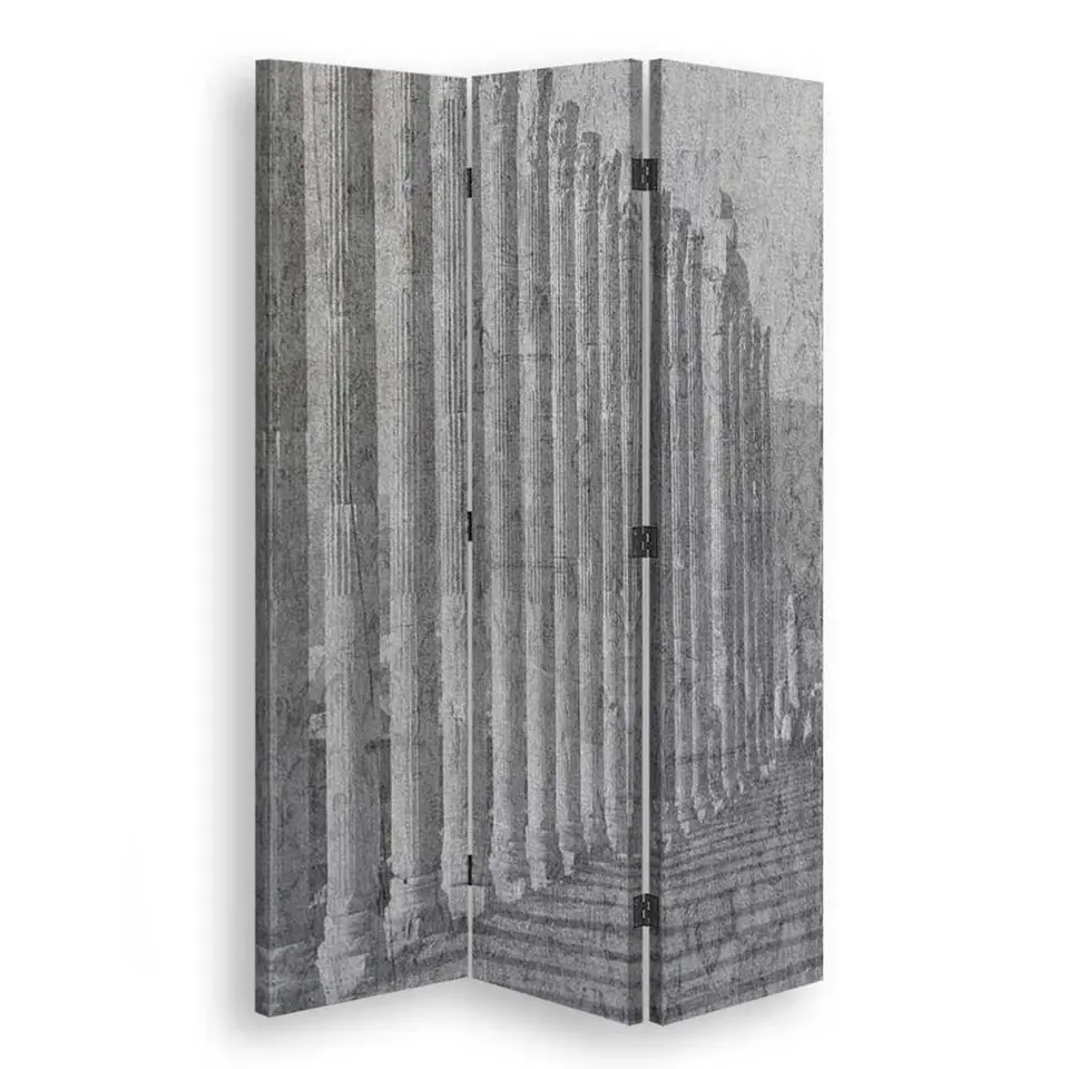 ⁨Parawan dwustronny obrotowy, Architektoniczny porządek (Rozmiar 110x170)⁩ w sklepie Wasserman.eu
