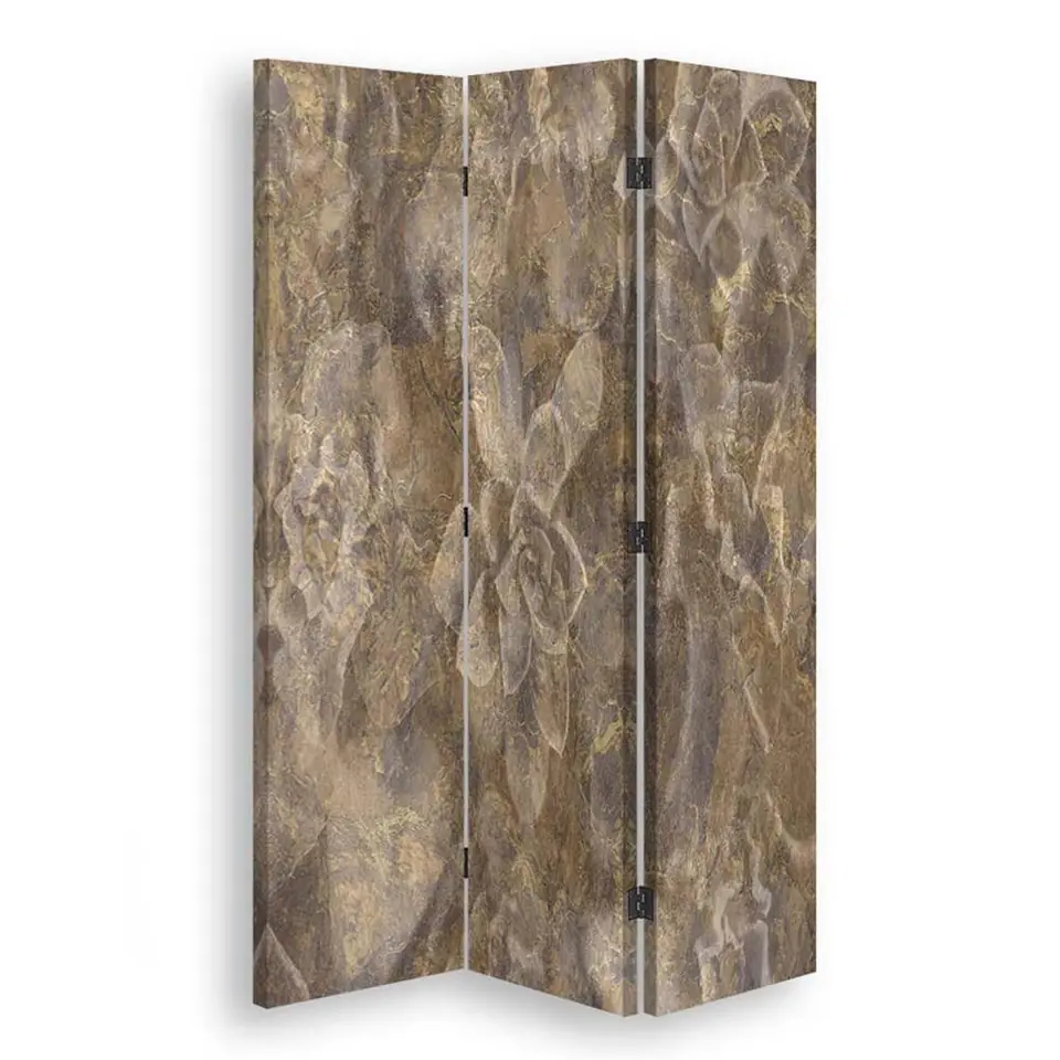 ⁨Double-sided swivel screen, Delicate bronze (Size 110x170)⁩ at Wasserman.eu