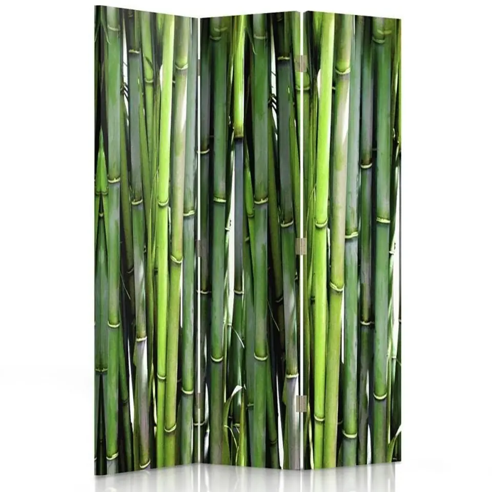 ⁨Parawan dwustronny obrotowy, Bambus (Rozmiar 110x170)⁩ w sklepie Wasserman.eu
