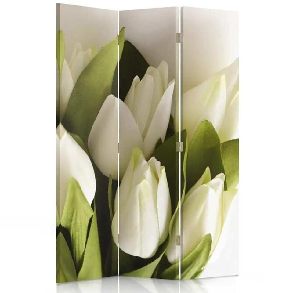 ⁨Parawan dwustronny obrotowy, Świeże białe tulipany (Rozmiar 110x170)⁩ w sklepie Wasserman.eu