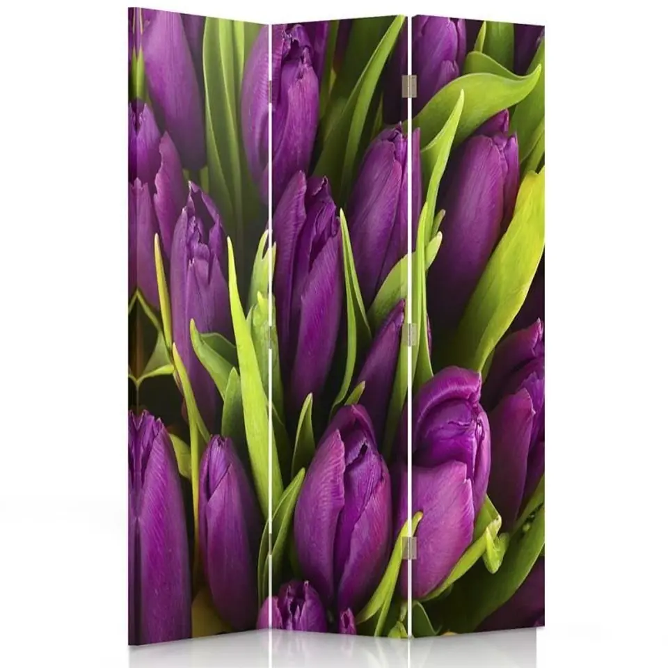 ⁨Parawan dwustronny obrotowy, Fiolet tulipanów (Rozmiar 110x170)⁩ w sklepie Wasserman.eu