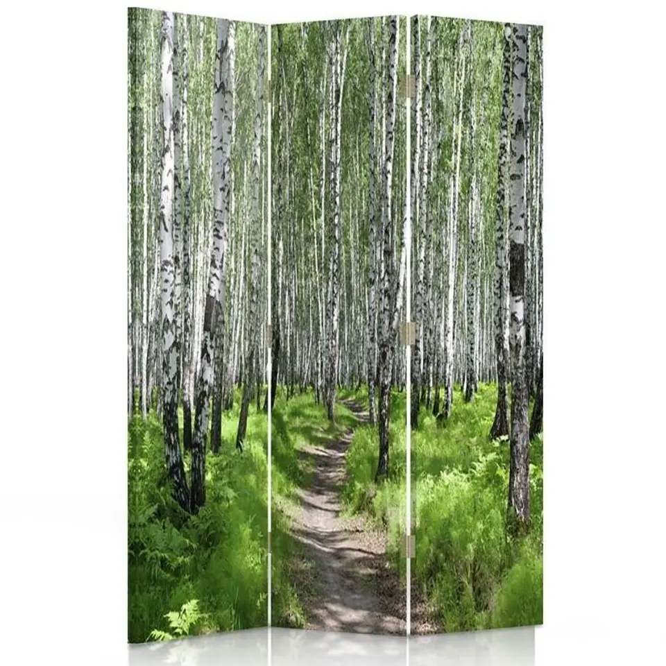 ⁨Parawan dwustronny obrotowy, Ścieżka przez brzozowy las (Rozmiar 110x170)⁩ w sklepie Wasserman.eu