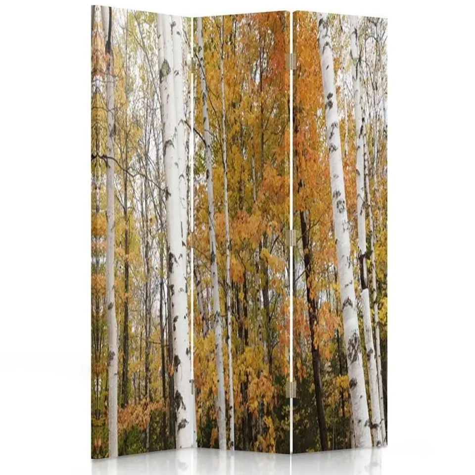 ⁨Double-sided rotating screen, Birch forest in autumn (Size 110x170)⁩ at Wasserman.eu