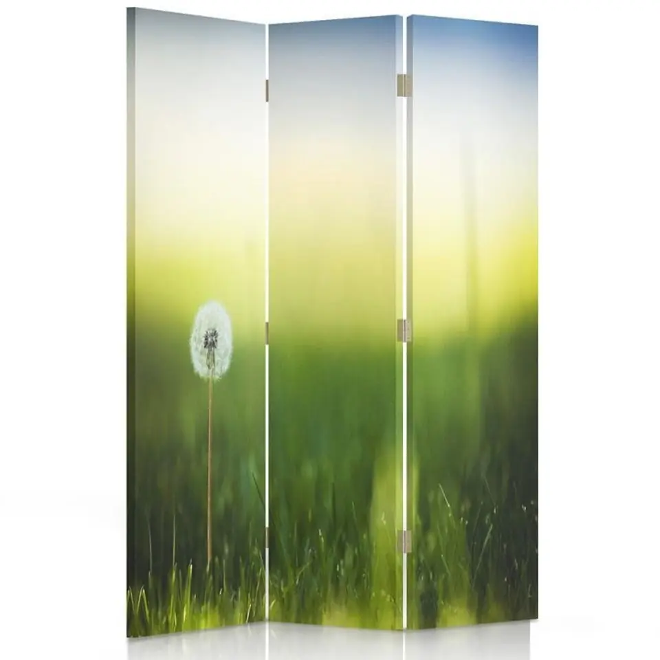 ⁨Parawan dwustronny obrotowy, Dmuchawiec w zielonej trawie (Rozmiar 110x170)⁩ w sklepie Wasserman.eu