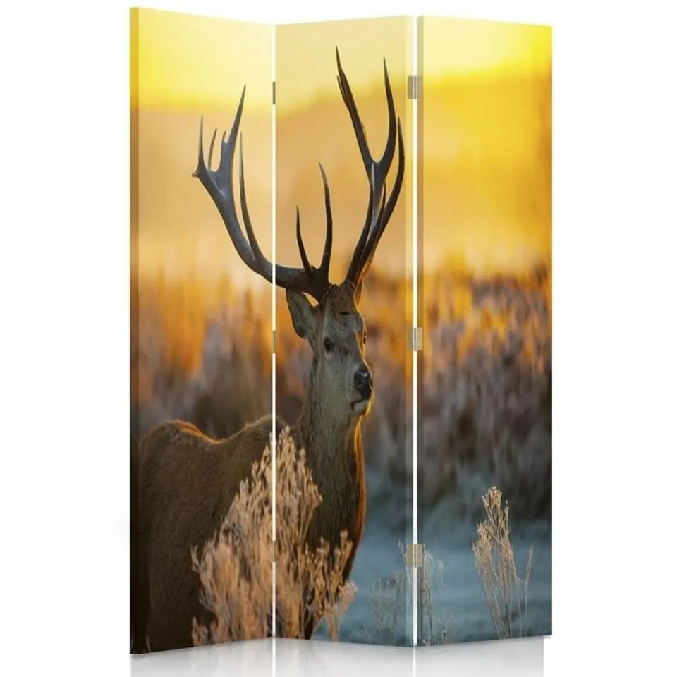 ⁨Double-sided rotating screen, Deer in winter (Size 110x170)⁩ at Wasserman.eu