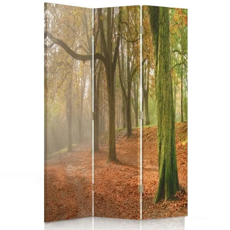 ⁨Parawan dwustronny obrotowy, Jesień w lesie (Rozmiar 110x170)⁩ w sklepie Wasserman.eu