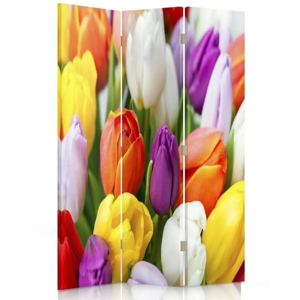 ⁨Double-sided swivel screen, Colorful tulips (Size 110x170)⁩ at Wasserman.eu