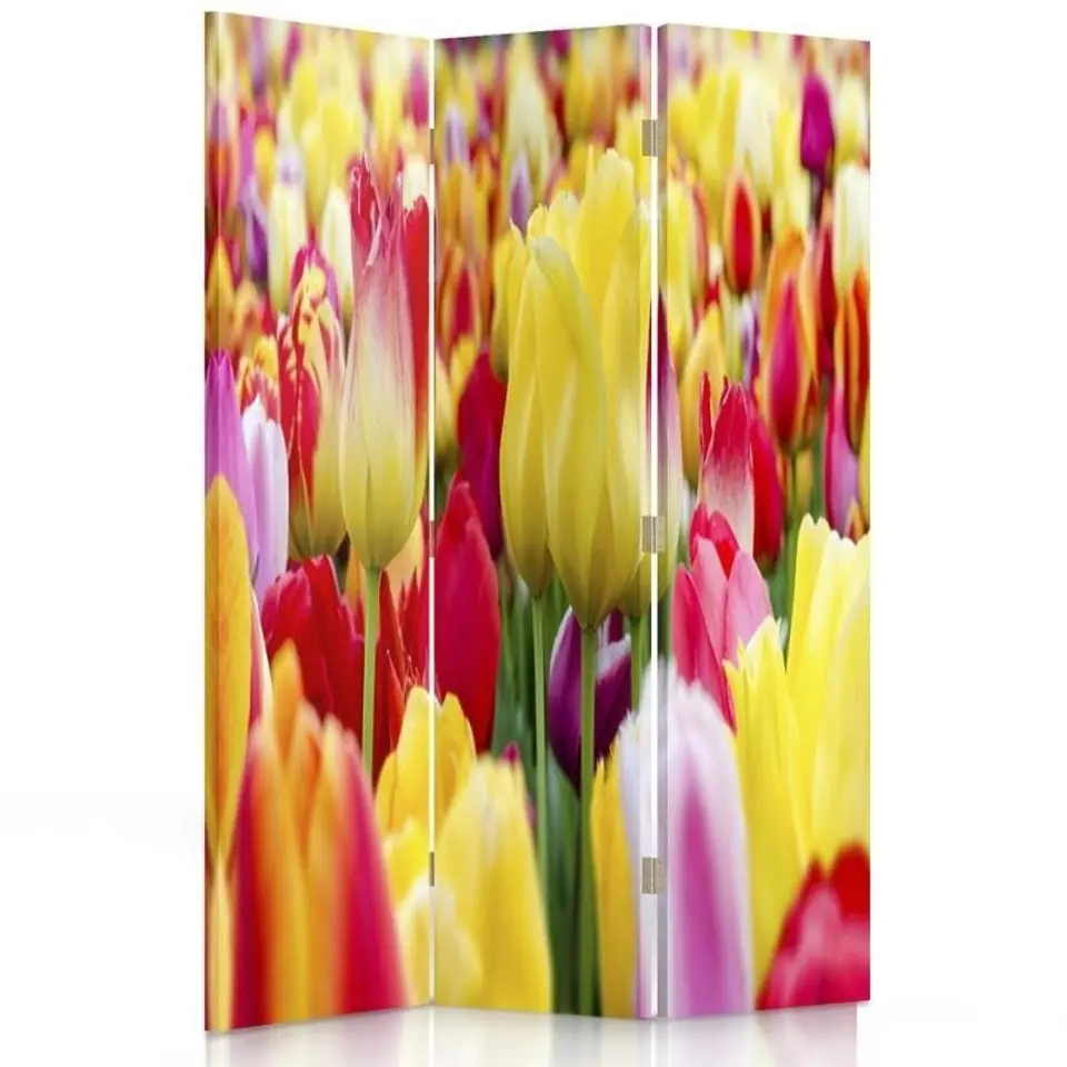⁨Parawan dwustronny obrotowy, Wielobarwne tulipany (Rozmiar 110x170)⁩ w sklepie Wasserman.eu