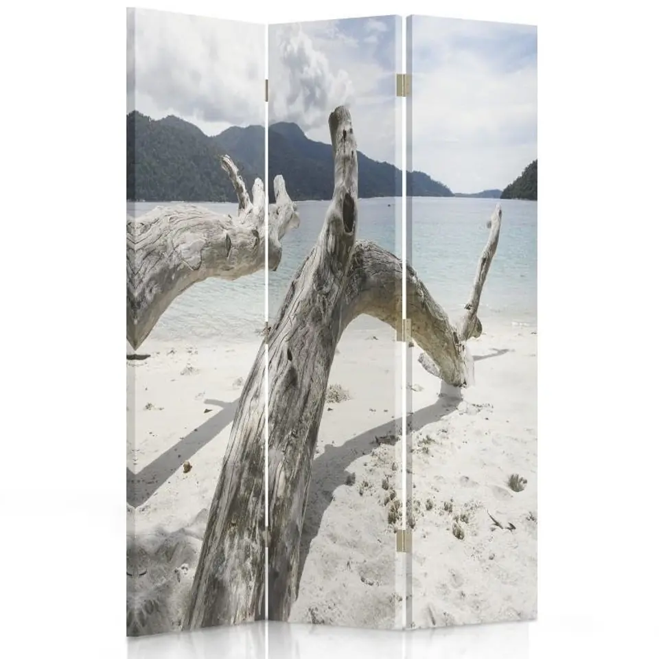 ⁨Parawan dwustronny obrotowy, Konary drzewa na tropikalnej plaży (Rozmiar 110x170)⁩ w sklepie Wasserman.eu
