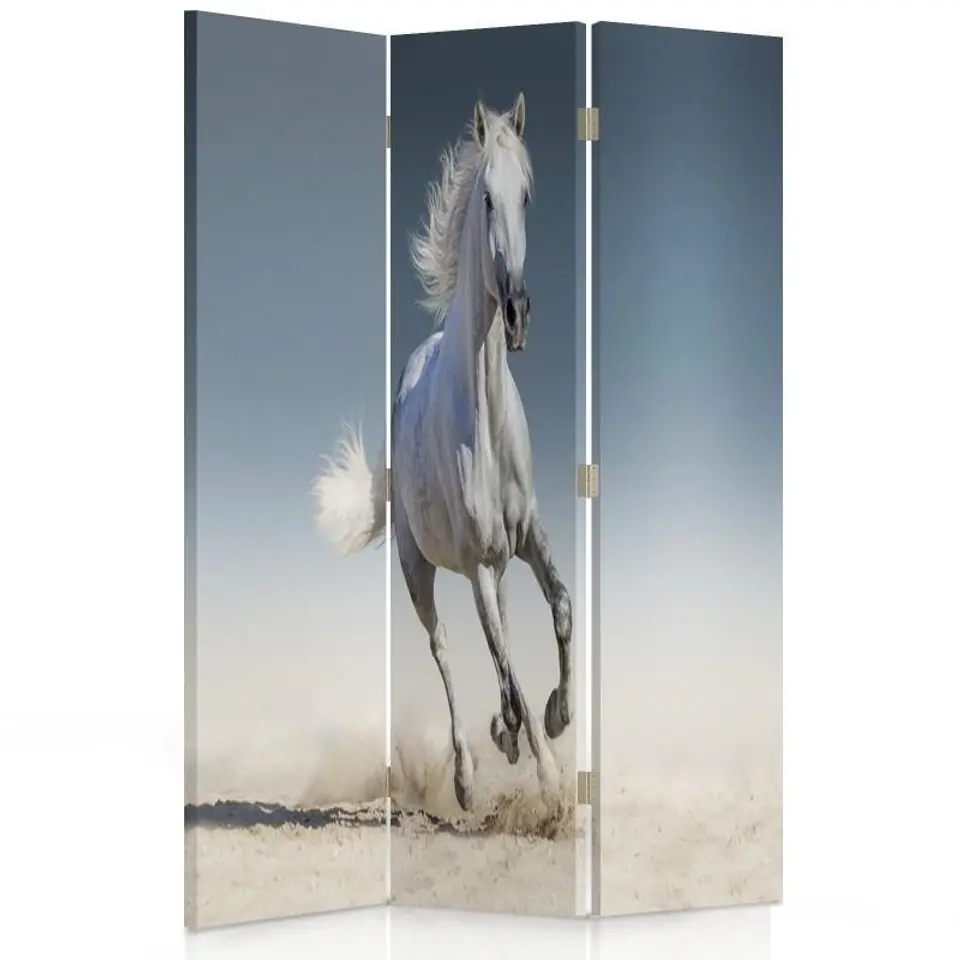 ⁨Double-sided swivel screen, Horse running on sand (Size 110x170)⁩ at Wasserman.eu