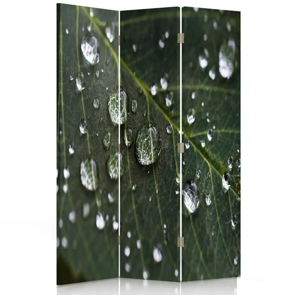 ⁨Double-sided swivel screen, Raindrops on a leaf (Size 110x170)⁩ at Wasserman.eu