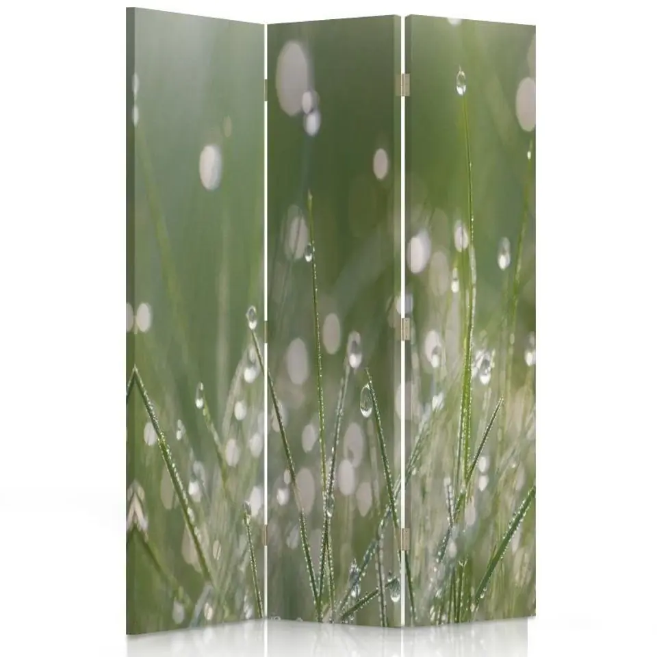 ⁨Double-sided rotating screen, Dew drops on grass (Size 110x170)⁩ at Wasserman.eu