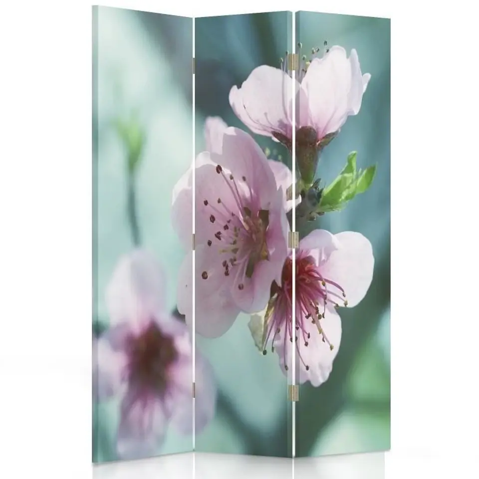 ⁨Double-sided rotating screen, Cherry blossom in close-up (Size 110x170)⁩ at Wasserman.eu