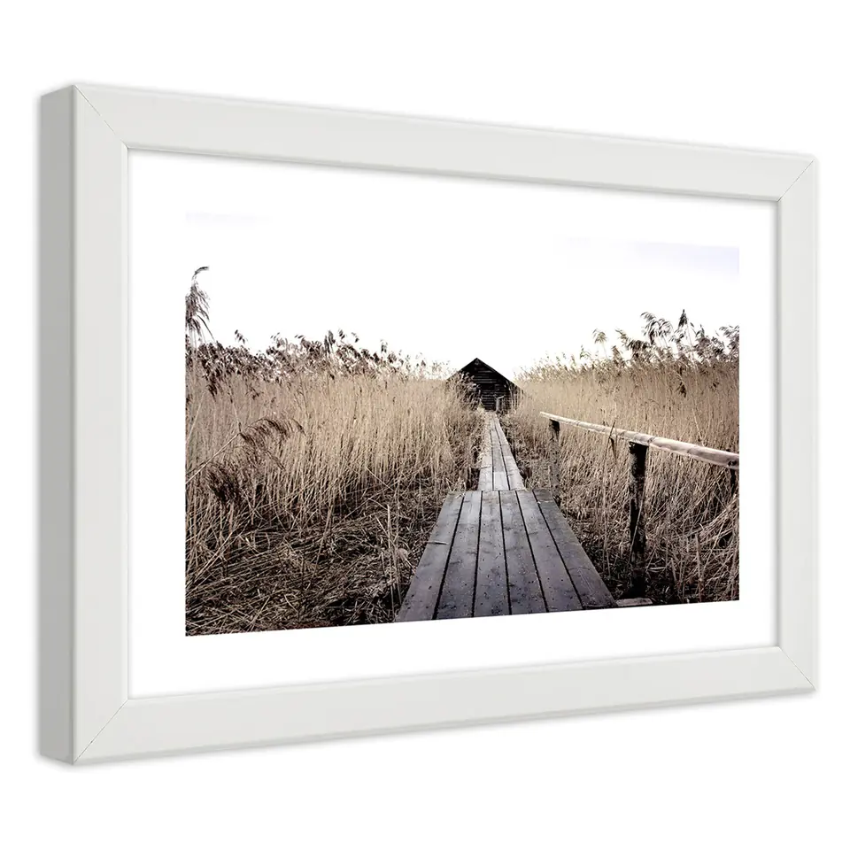 ⁨White framed poster, Old pier in tall reeds (Size 100x70)⁩ at Wasserman.eu