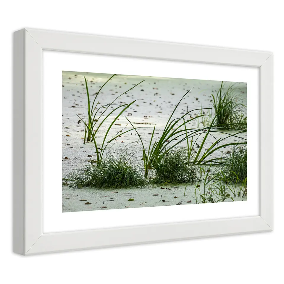 ⁨Poster in white frame, Grass on the beach (Size 100x70)⁩ at Wasserman.eu