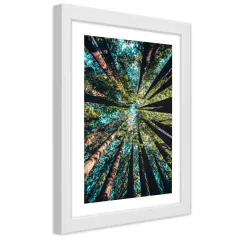 ⁨White framed poster, Branches of tall trees (Size 30x45)⁩ at Wasserman.eu