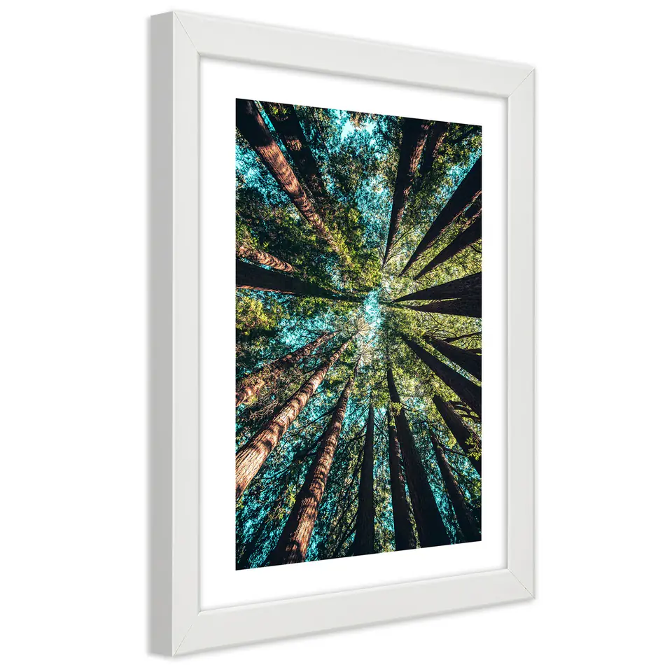 ⁨White framed poster, Branches of tall trees (Size 60x90)⁩ at Wasserman.eu