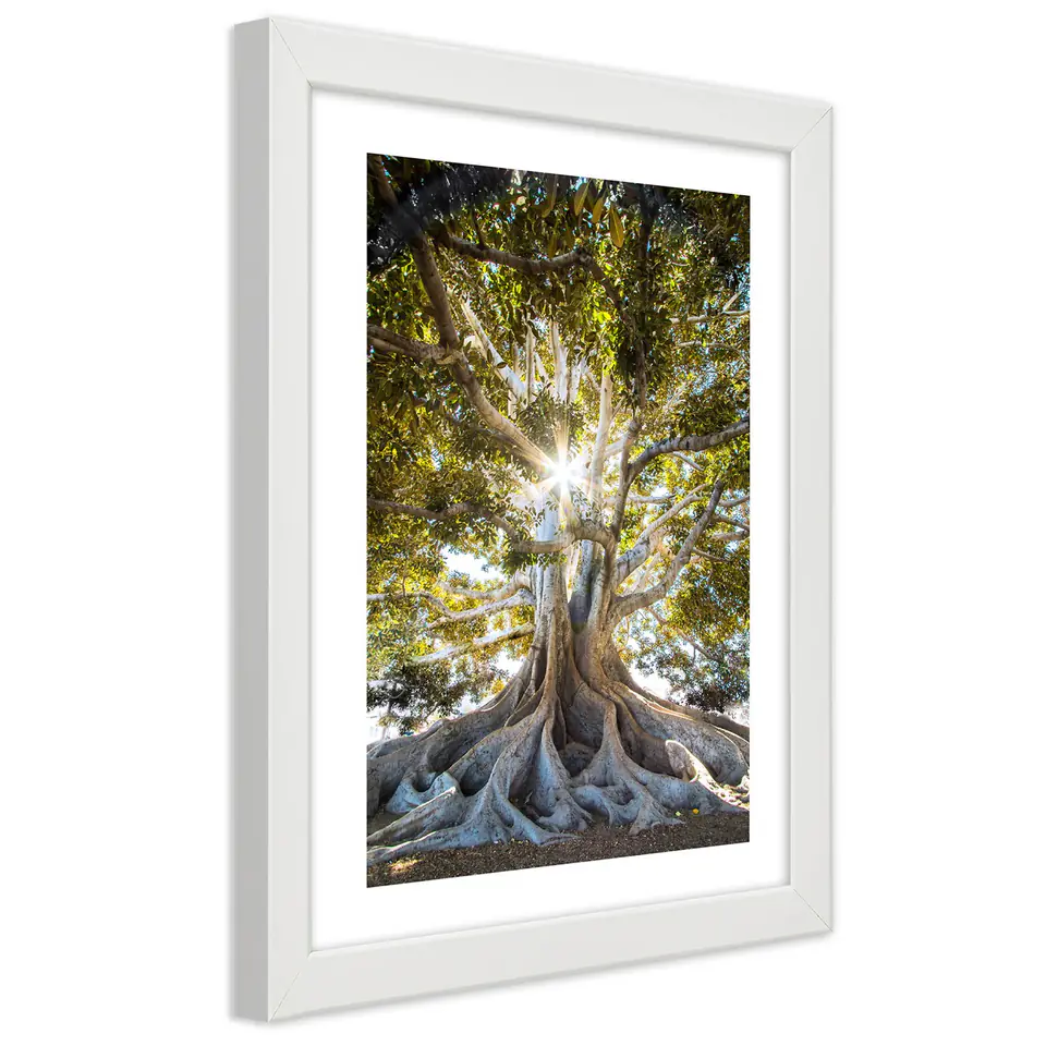 ⁨White Frame Poster, Big Exotic Tree (Size 20x30)⁩ at Wasserman.eu