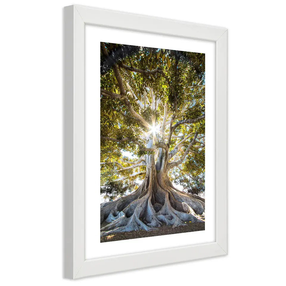 ⁨Obraz w ramie, Wielkie egzotyczne drzewo (Rozmiar 20x30)⁩ w sklepie Wasserman.eu