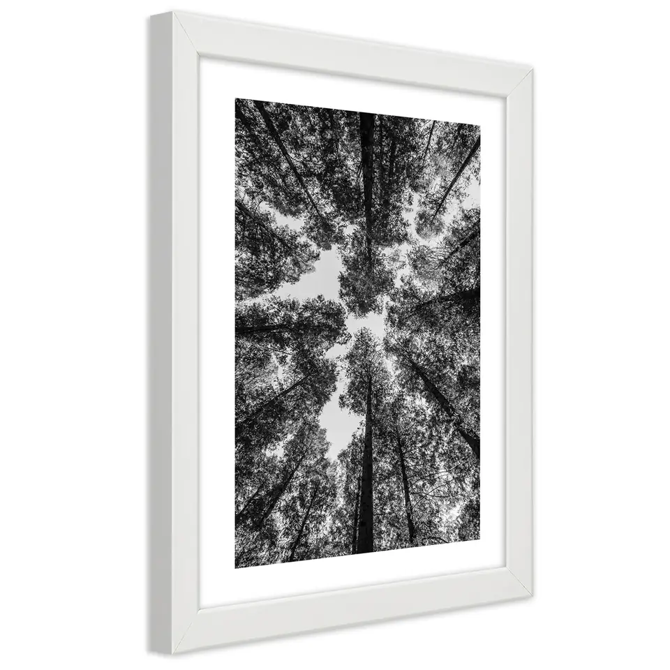 ⁨Obraz w ramie, Korony drzew (Rozmiar 20x30)⁩ w sklepie Wasserman.eu