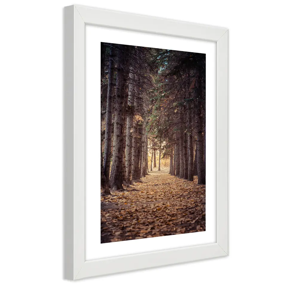 ⁨Poster in white frame, Forest in autumn (Size 20x30)⁩ at Wasserman.eu