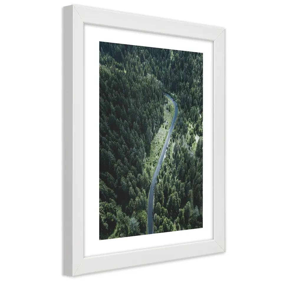 ⁨White frame poster, Road in the forest (Size 40x60)⁩ at Wasserman.eu