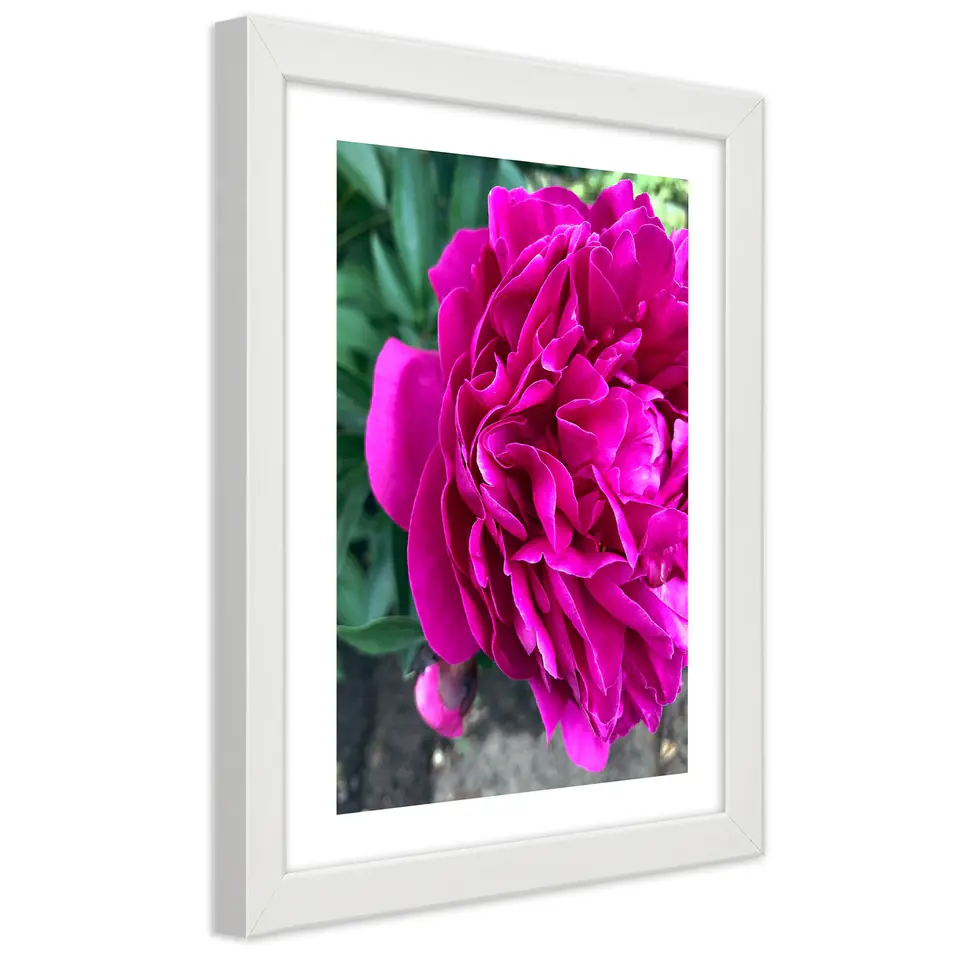 ⁨White frame poster, Pink large flower (Size 60x90)⁩ at Wasserman.eu