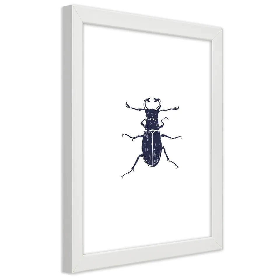 ⁨Poster in white frame, Black beetle (Size 20x30)⁩ at Wasserman.eu