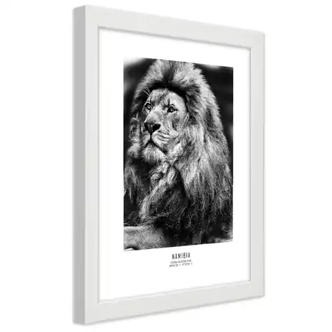 ⁨White framed poster, Symbol of Africa (Size 70x100)⁩ at Wasserman.eu