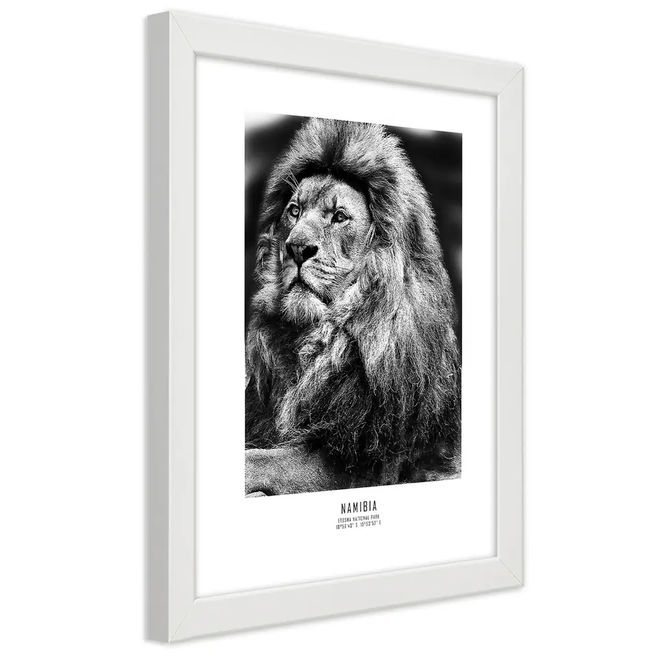 ⁨Obraz w ramie, Symbol Afryki (Rozmiar 20x30)⁩ w sklepie Wasserman.eu