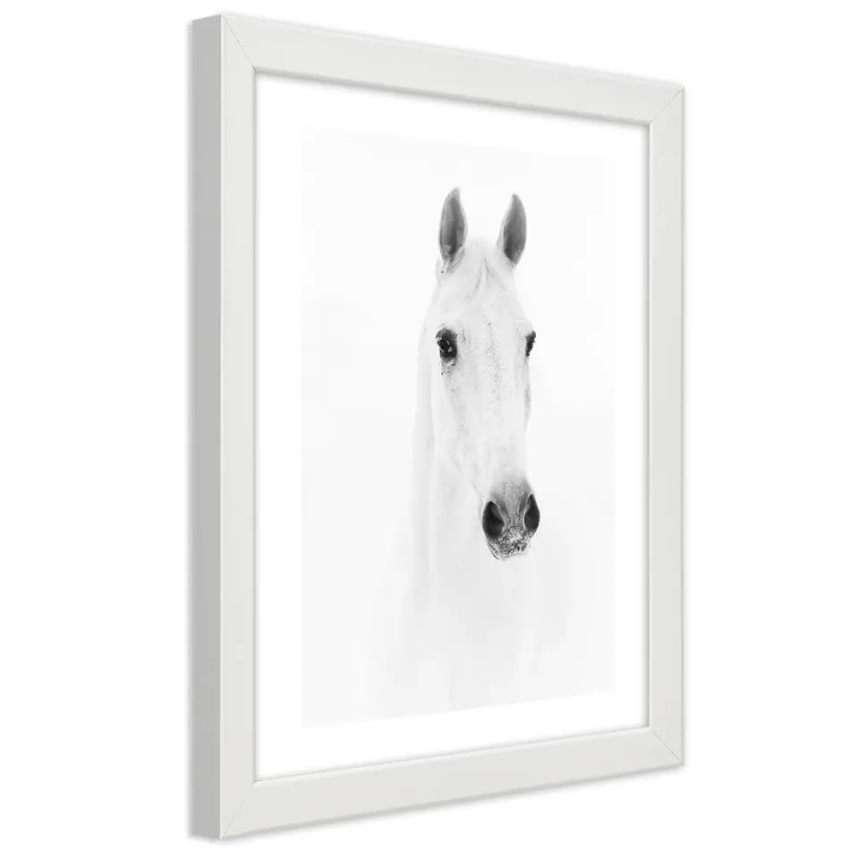 ⁨Poster in white frame, Grey horse (Size 60x90)⁩ at Wasserman.eu