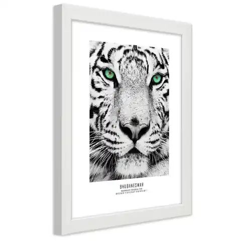⁨White frame poster, White Tiger (Size 30x45)⁩ at Wasserman.eu