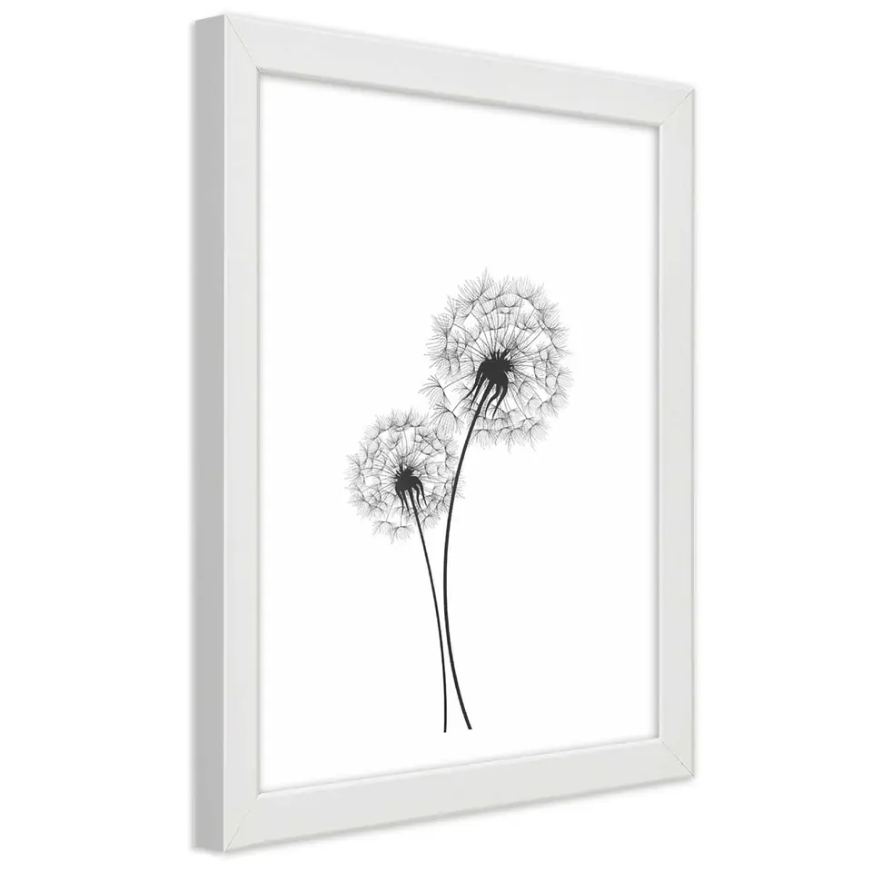 ⁨Poster in white frame, Two dandelions drawn (Size 70x100)⁩ at Wasserman.eu