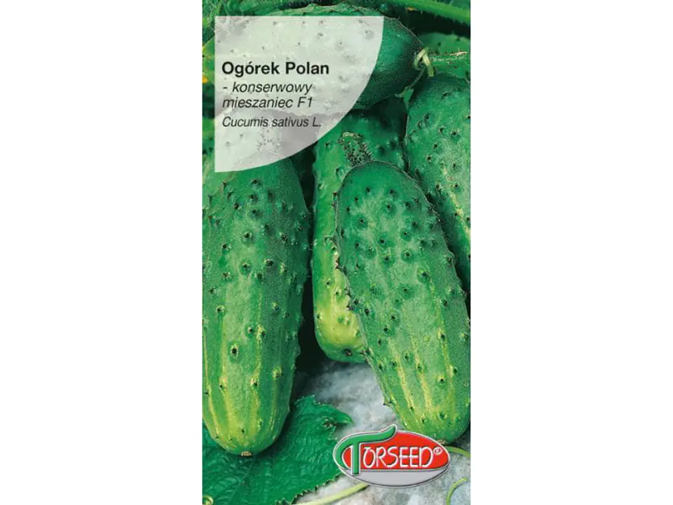 Polan F1 Torseed pickled cucumber seeds 3g at Wasserman.eu