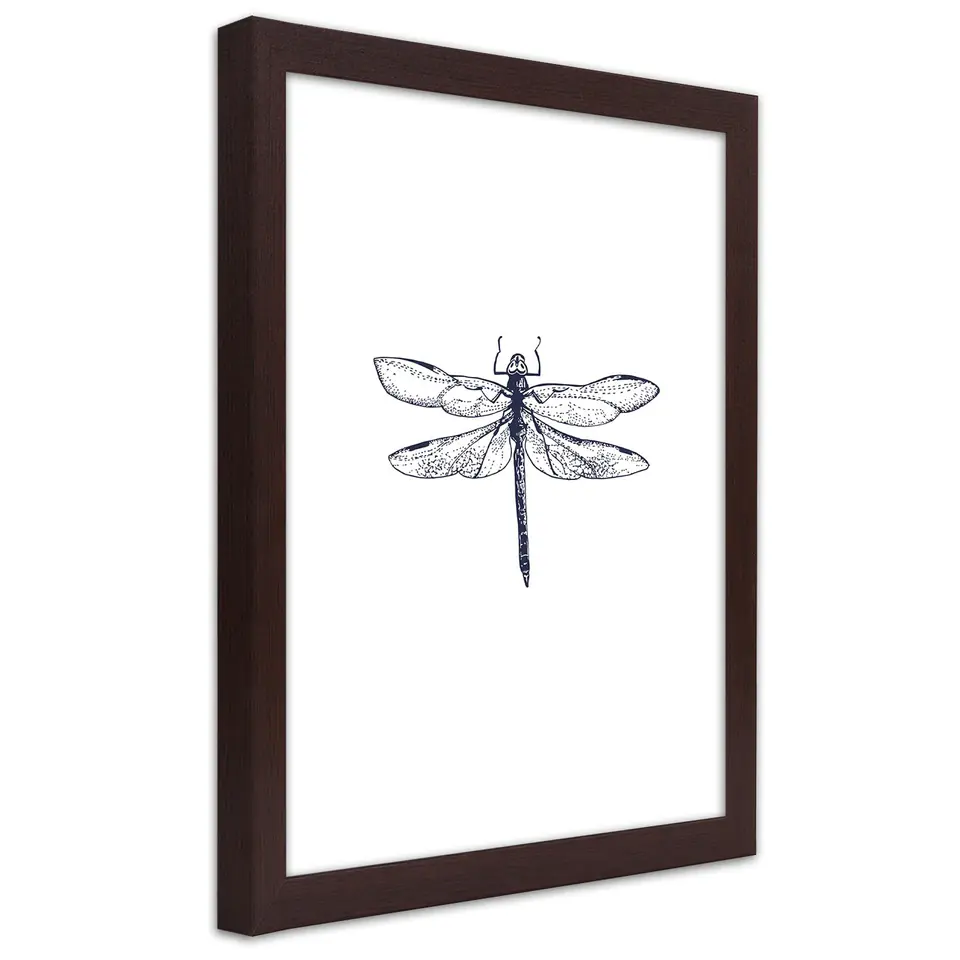 ⁨Poster in brown frame, Dragonfly drawn (Size 20x30)⁩ at Wasserman.eu