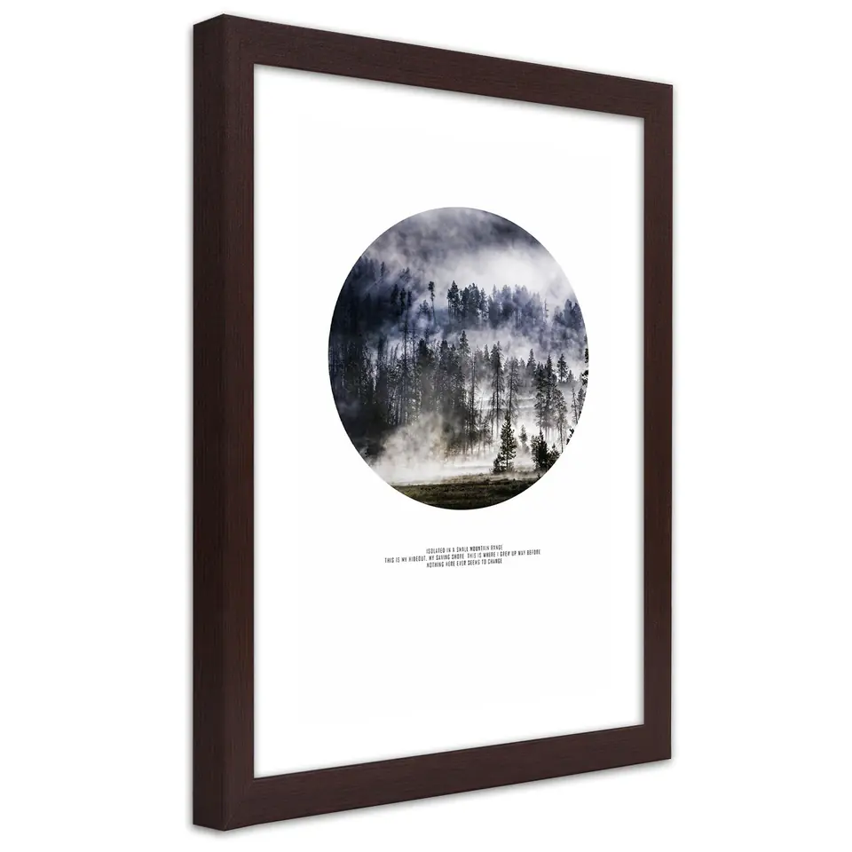 ⁨Poster in brown frame, Forest in fog (Size 20x30)⁩ at Wasserman.eu