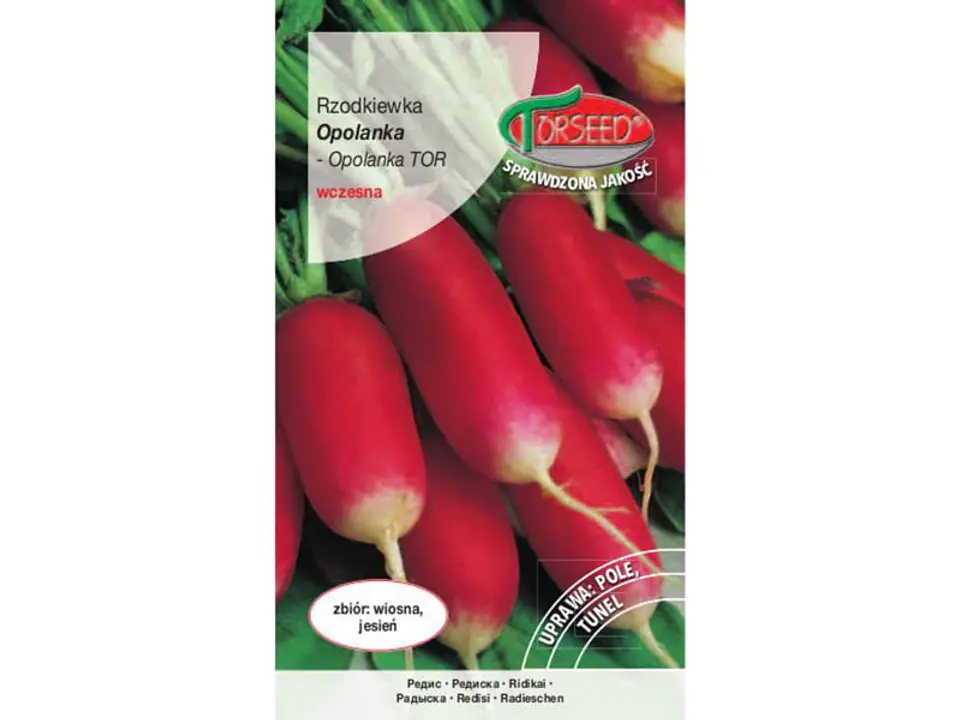 ⁨Radish seeds Opolanka elongated Torseed 10g⁩ at Wasserman.eu