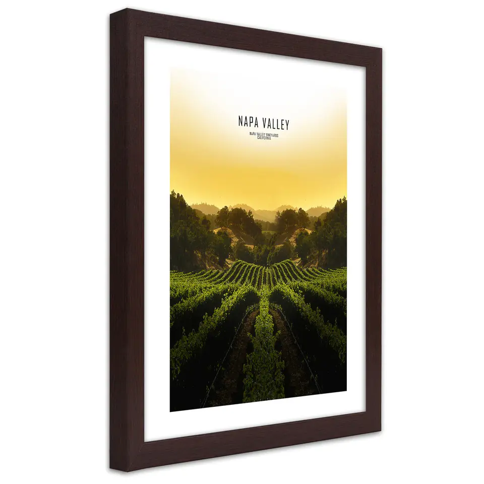 ⁨Poster in bronze frame, Vineyards in Napa Vallley (Size 30x45)⁩ at Wasserman.eu