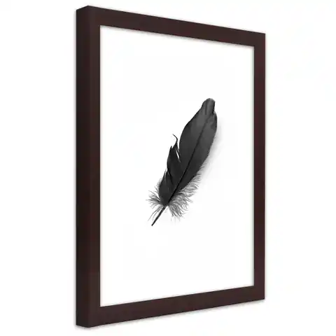 ⁨Poster in brown frame, Black feather (Size 70x100)⁩ at Wasserman.eu