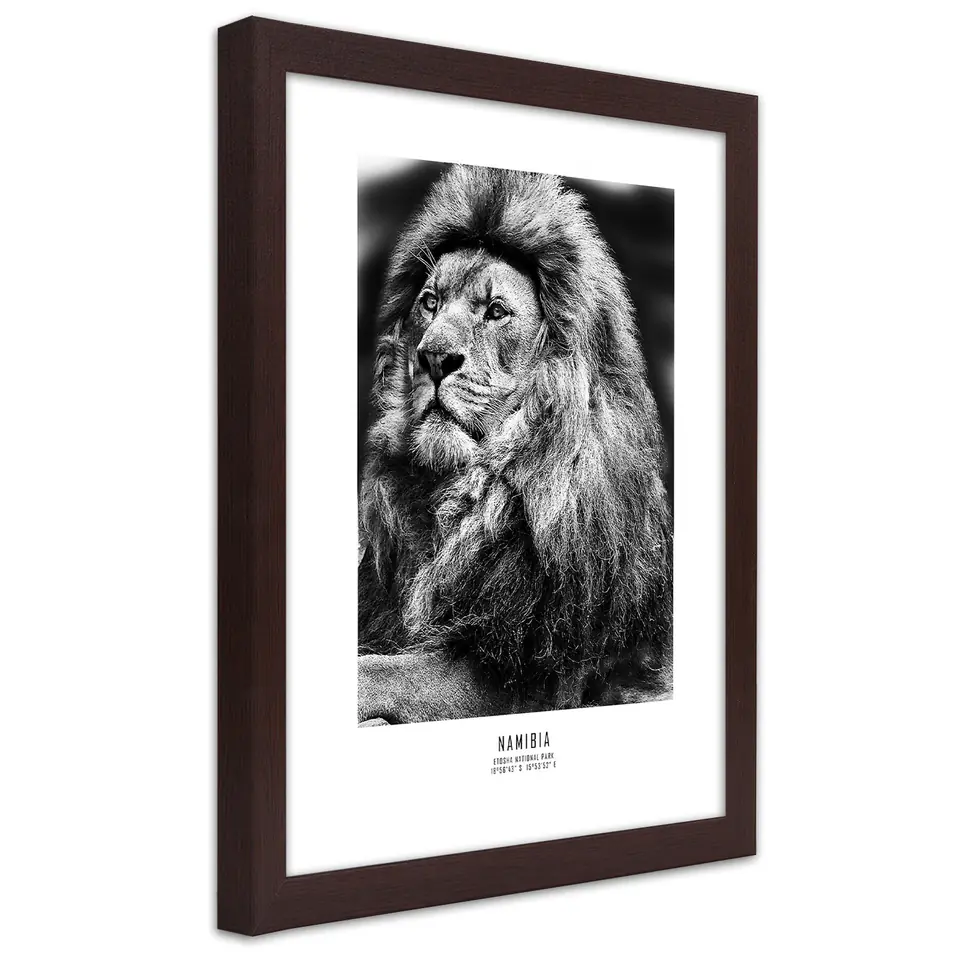 ⁨Obraz w ramie, Symbol Afryki (Rozmiar 20x30)⁩ w sklepie Wasserman.eu