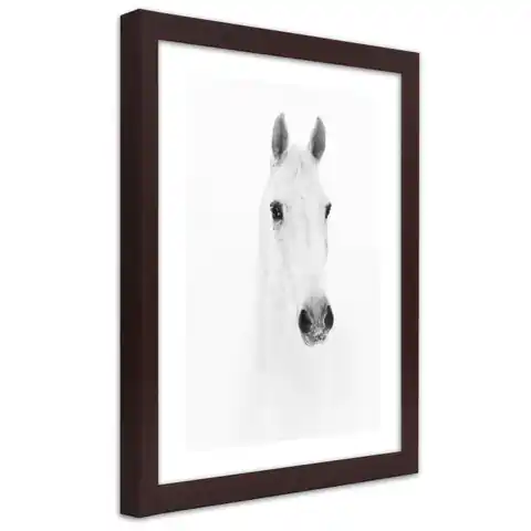⁨Poster in bronze frame, Grey horse (Size 20x30)⁩ at Wasserman.eu