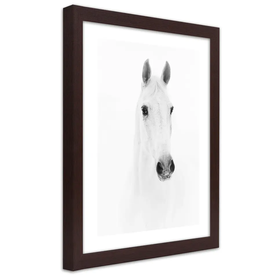 ⁨Poster in bronze frame, Grey horse (Size 20x30)⁩ at Wasserman.eu